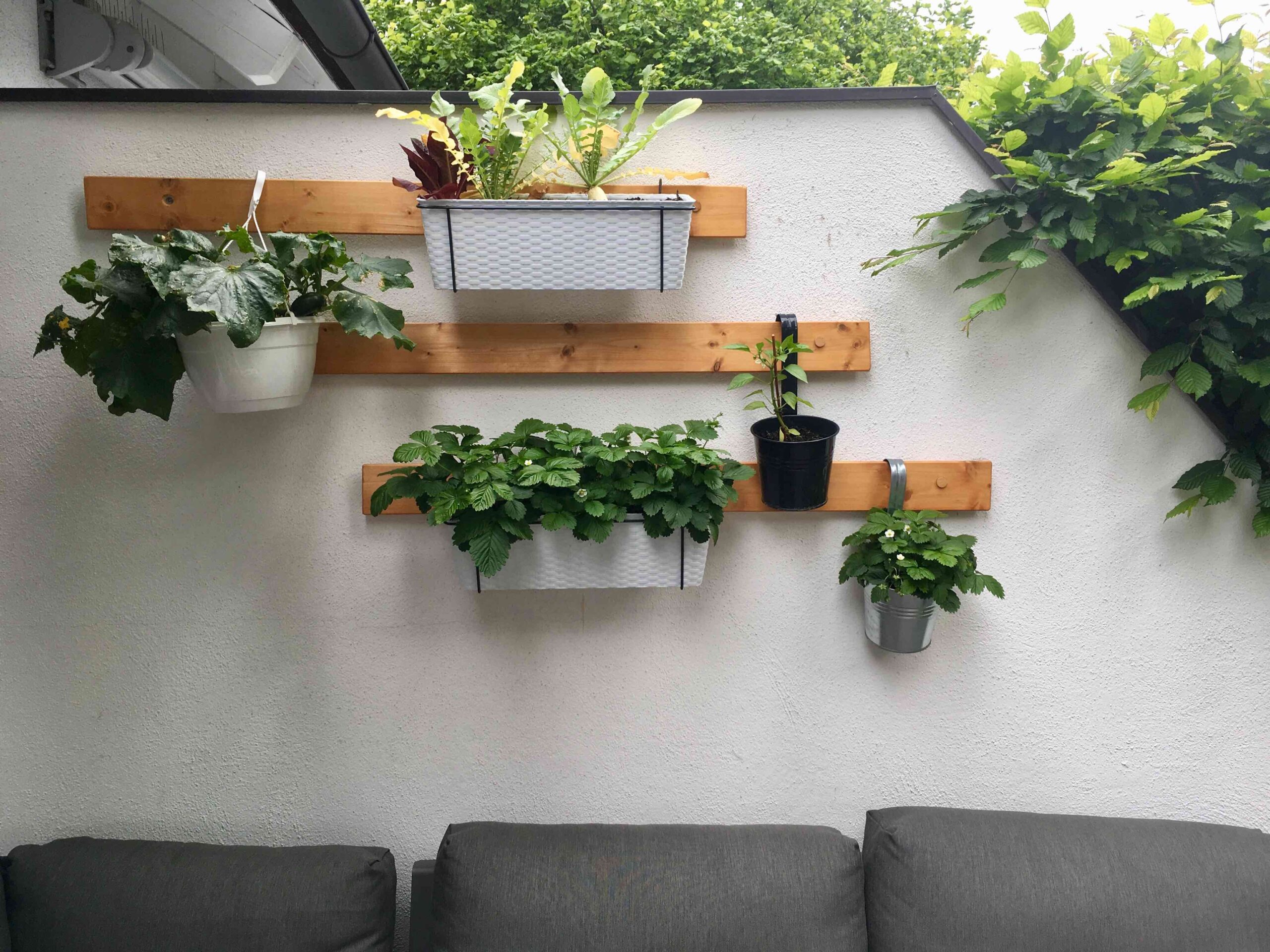 Garten Pflanzen