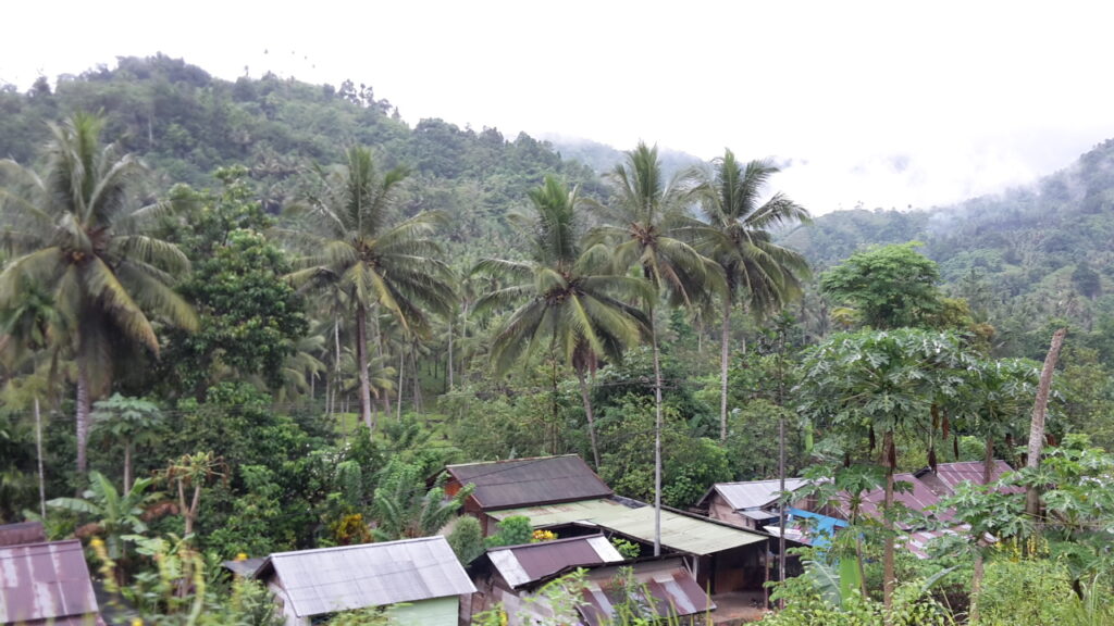 Sulawesi