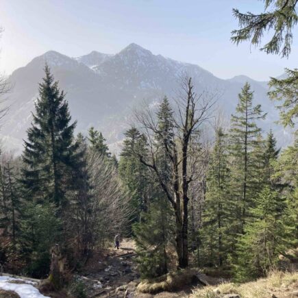 Wanderung Jochberg