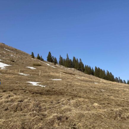 Wanderung Jochberg