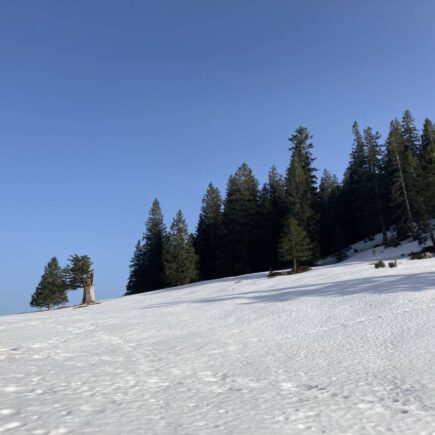 Wanderung Jochberg