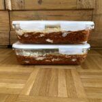 Mealprep/Vorkochen - Lasagne