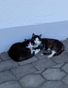 Urlaub auf dem Bauernhof