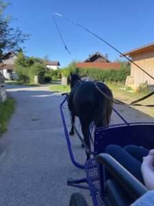 Urlaub auf dem Bauernhof