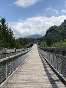 Walderlebnispfad_2 (2)