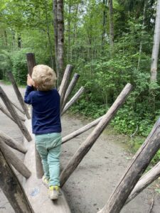 Walderlebnispfad_2 (3)
