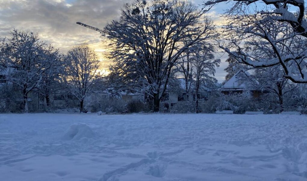 Eisiger Wintertag