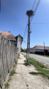 Fototipp: Panoramabild Hochformat