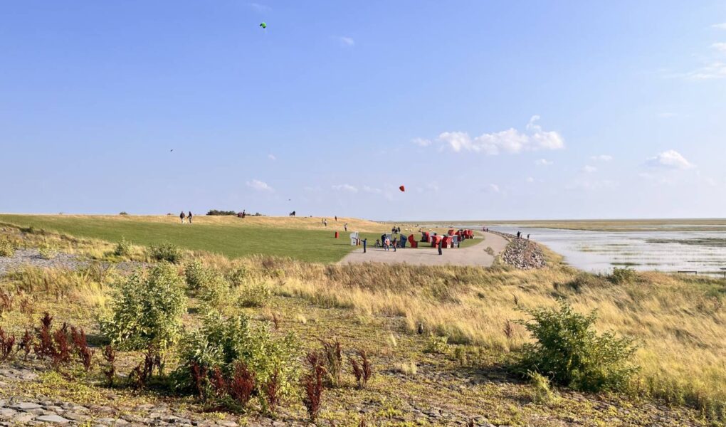 Deich in Friedrichskoog