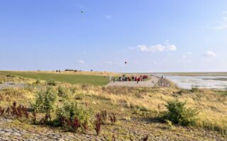 Deich in Friedrichskoog