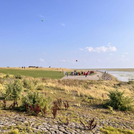 Deich in Friedrichskoog