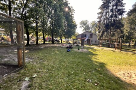 Dithmarscher Gänsemarkt