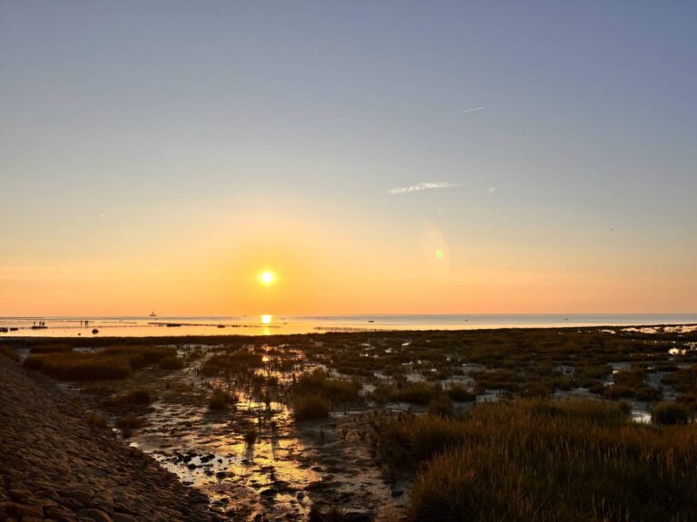 Nordseeurlaub - Endlose Weiten, Wattenmeer, Natur