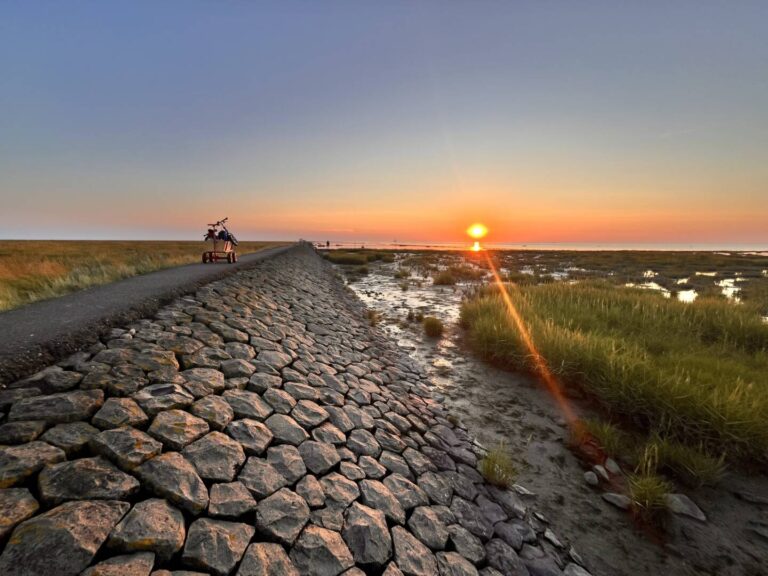Friedrichskoog Trischendamm