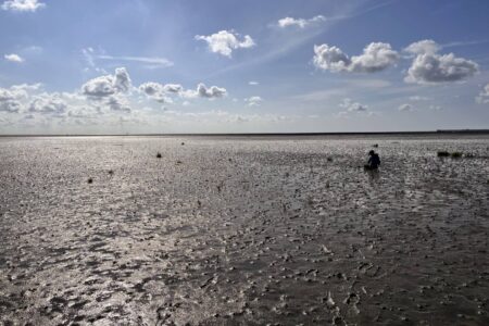 Endliche Weiten in der Nordsee und dem Wattenmeer