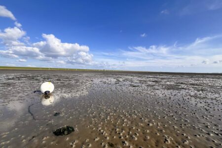 Wattenmeer