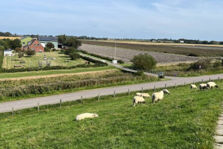 Unterkunft direkt neben dem DAmm