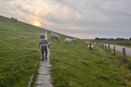 Urlaub an der Nordsee - es gibt immer etwas zu Entdecken