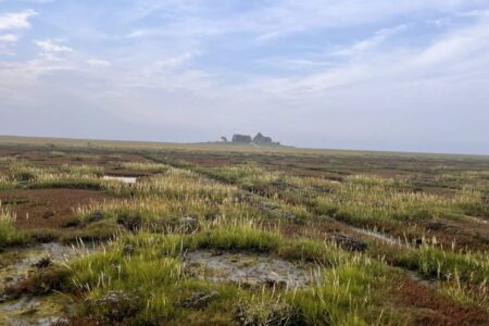 Die Hallig kommt in Sicht