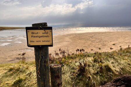 Natur an der Nordsee