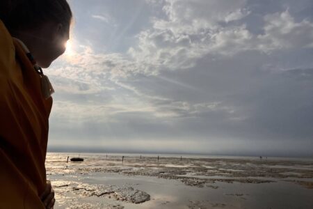 Wattenmeer auf Nordstrand - perfekt für den Urlaub in der Natur mit der ganzen Familie!