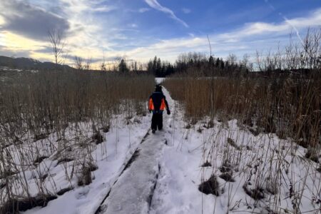 Winterspaziergang am Bayersoiener See Bad Bayersoien durch Schilf