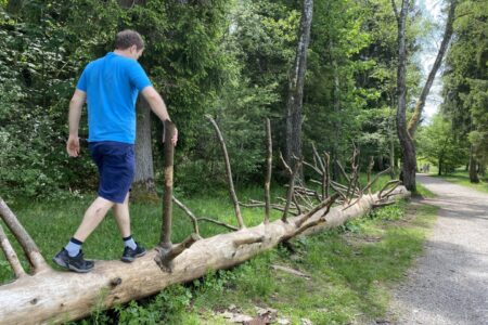 Abenteuer für Groß und Klein am Bayersoiener See