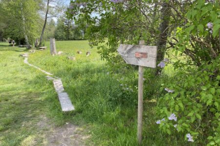 Barfußpfad Bayersoiener See Bad Bayersoien