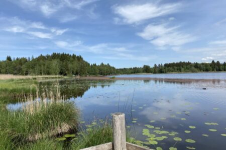 Bayersoiener See Bad Bayersoien – Panoramablick auf den See